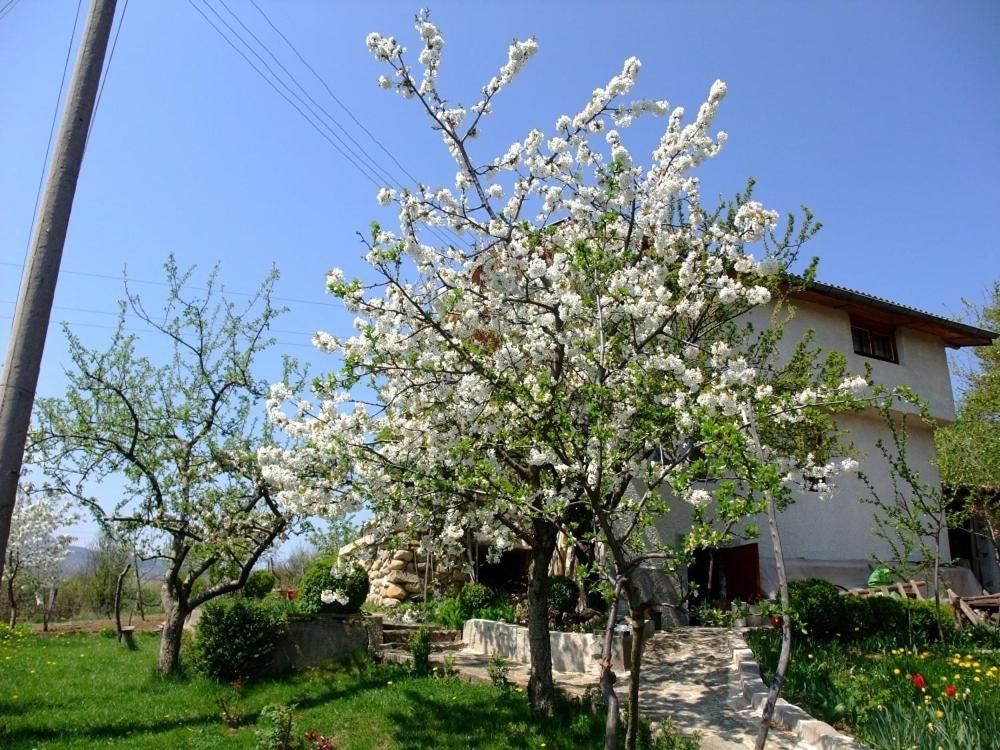Виллы The 1st Guest House in Kyustendil - Guest Villa - Casa Rosa - Suitable for Families, Friends, Relax, Sport Enthusiasts and Travel Addicts Кюстендил